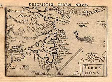 Terra Nova