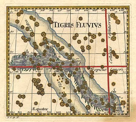 Tigris Fluvivs