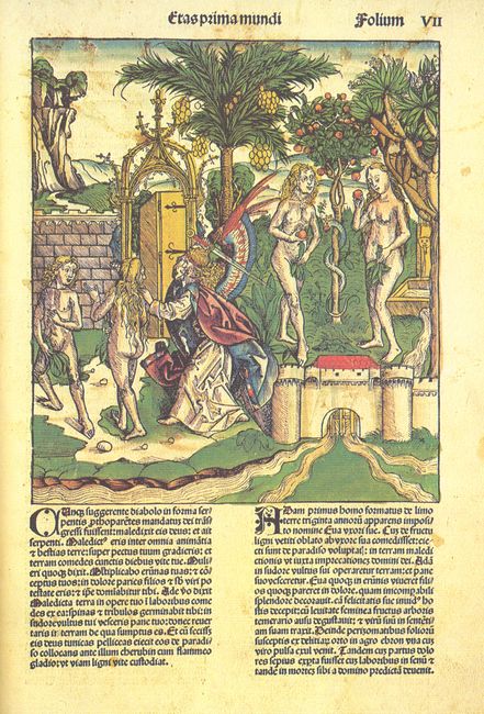 The Making of the Nuremberg Chronicle by Adrian Wilson