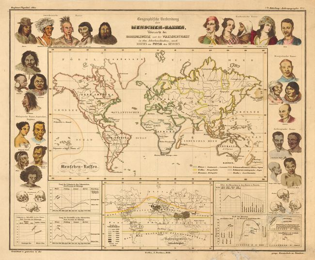 Geographische Verbreitung der Menschen-Rassen