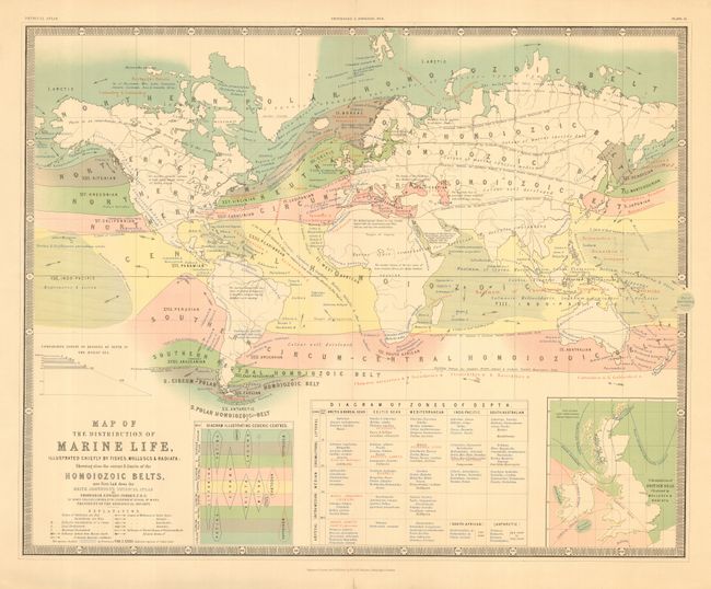 Map of the Distribution of Marine Life illustrated chiefly by Fishes, Molluscs & Radiata; Showing alsothe Homoizoic Belts