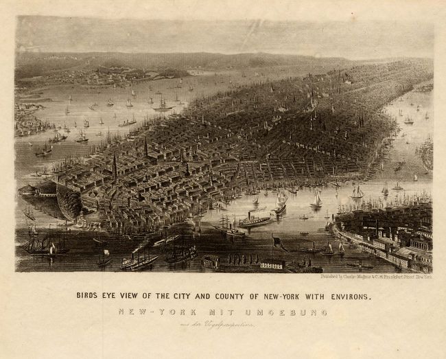 Birds Eye View of the City and County of New-York with Environs