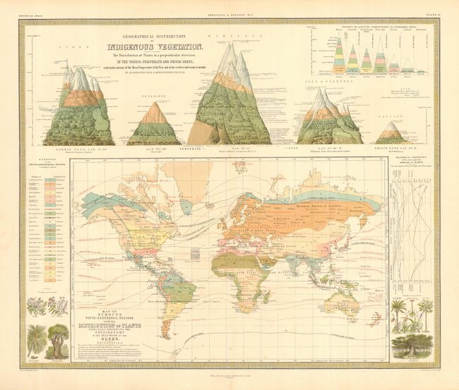 Geographical Distribution of Indigenous Vegetation... [on sheet with] Map of Schouws Phyto-Geographic Regions with the Distribution of Plants