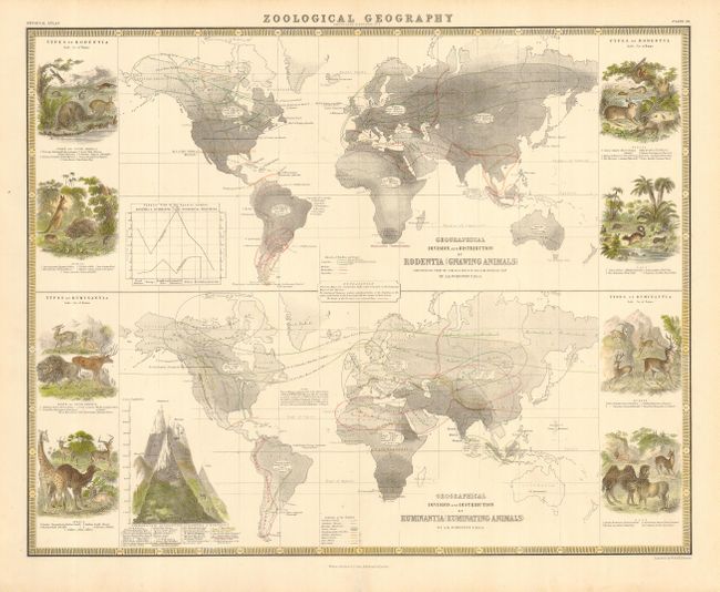 Zoological Geography