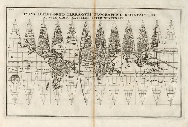 Typus Totius Orbis Terraquei Geographice Delineatus, et ad Usum Globo Materiali Superinducendus