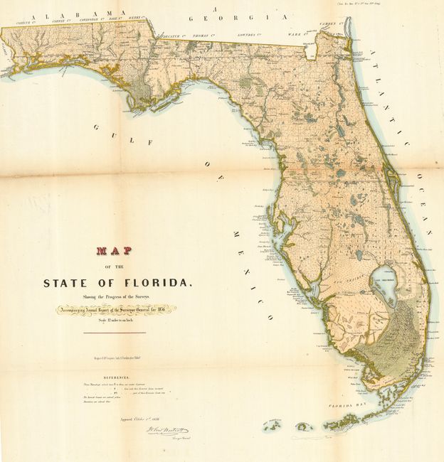 Map of the State of Florida Showing the Progress of the Surveys