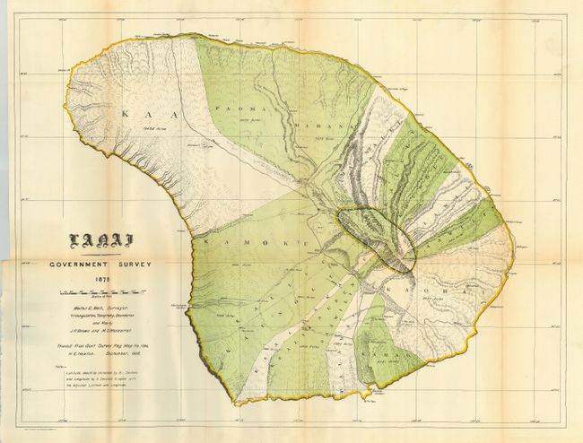 Lanai Government Survey