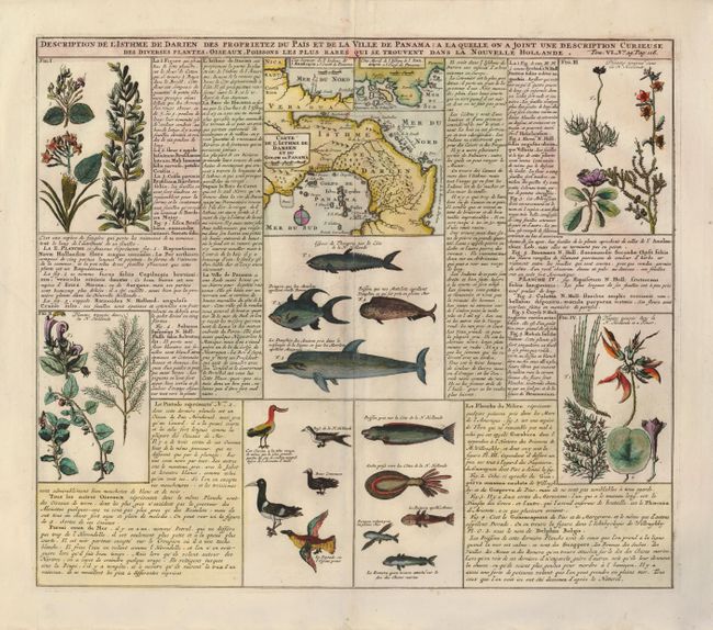 Description de l'Isthme de Darien des Proprietez du Pais et de la Ville de Panama; a la Quelle on a Joint une Description Curieuse des Diverses Plantes, Oiseaux, Poissons les plus Rares qui se Trouvent dans la Nouvelle Holland.