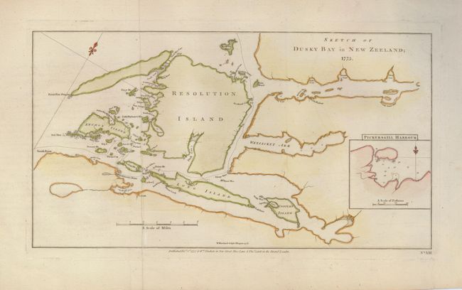 Sketch of Dusky Bay in New Zeeland; 1773