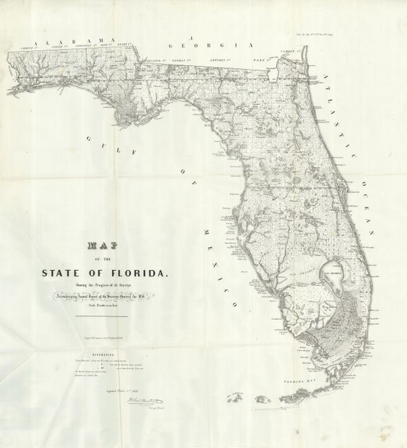 Map of the State of Florida Showing the Progress of the Surveys