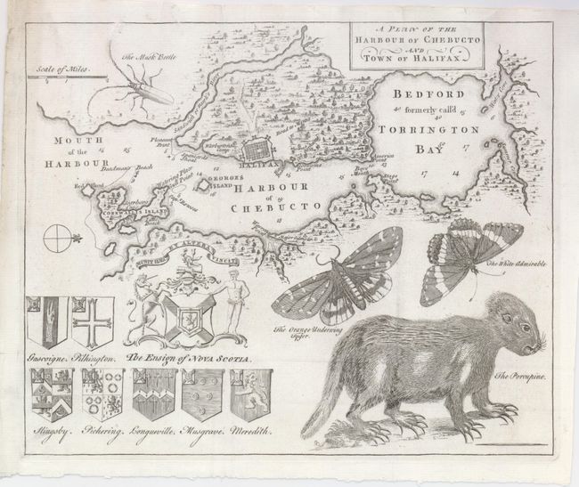 A Plan of the Harbour of Chebucto and Town of Halifax