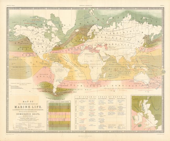 Map of the Distribution of Marine Life illustrated chiefly by Fishes, Molluscs & Radiata; Showing also  the Homoizoic Belts