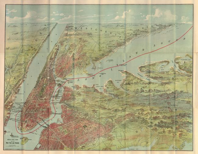 Bird's Eye View Map of New York and Vicinity