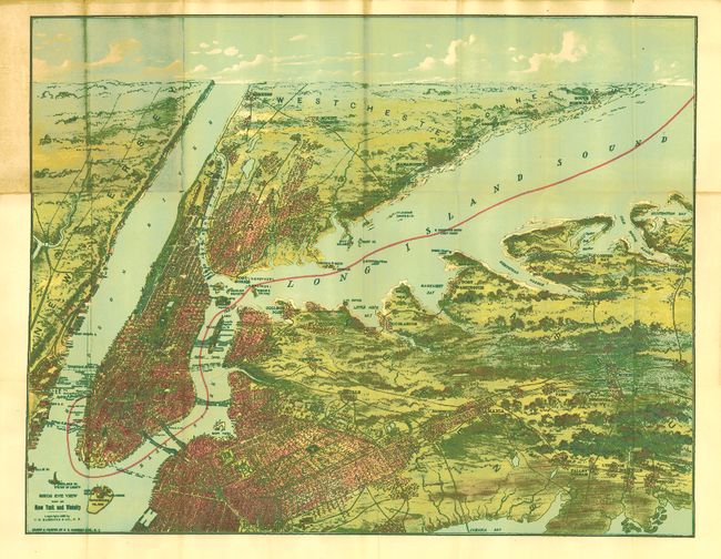 Bird's Eye View Map of New York and Vicinity