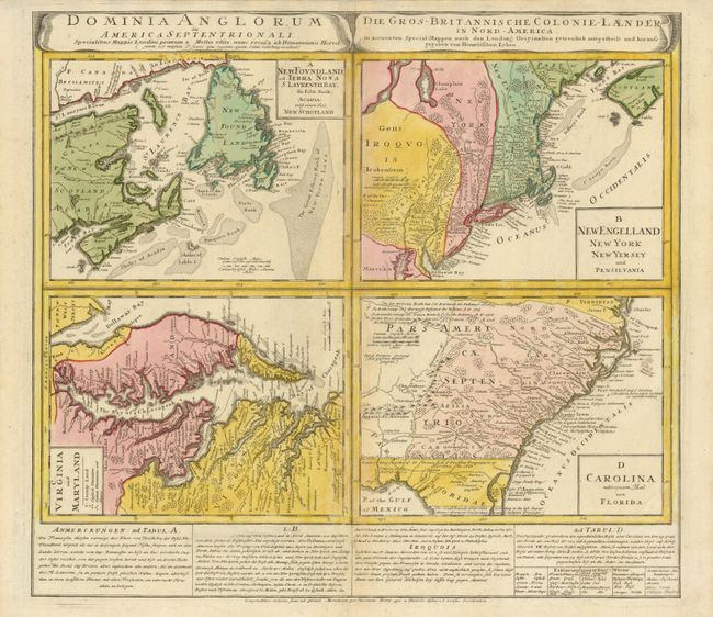 Dominia Anglorum in America Septentrionali