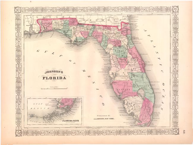 Johnson's Florida