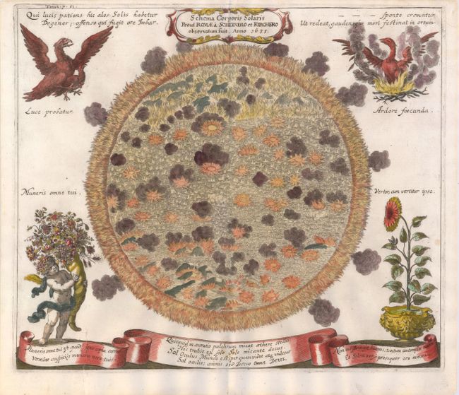 Schema Corporis Solaris prout Romae a Scheinero et Kirchero Observatum fuit