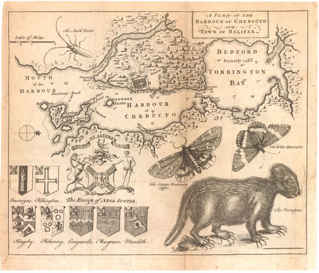 A Plan of the Harbour of Chebucto and Town of Halifax