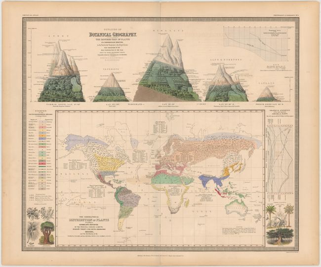 The Geographical Distribution of Plants According to Humboldt's Statistics of the Principal Families & Groups; Schouw's Twenty Five Phyto-Geographic Regions, and the Distribution of the Family of Palms and the Genera Pinus (Pine) & Erica (Heath)