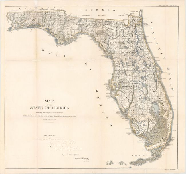 Map of the State of Florida Showing the Progress of the Surveys...