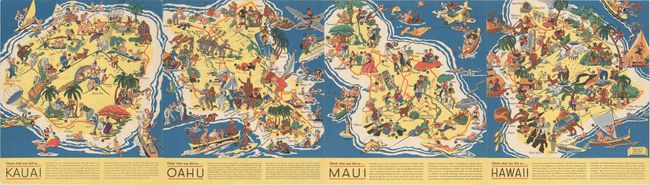 Sun Fun! In Hawaii - A New Map Series Showing How and Where to Play in the Islands