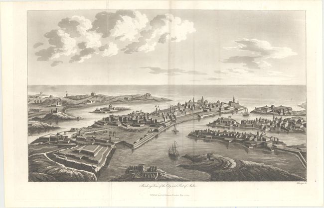 Birds-eye View of the City and Port of Malta