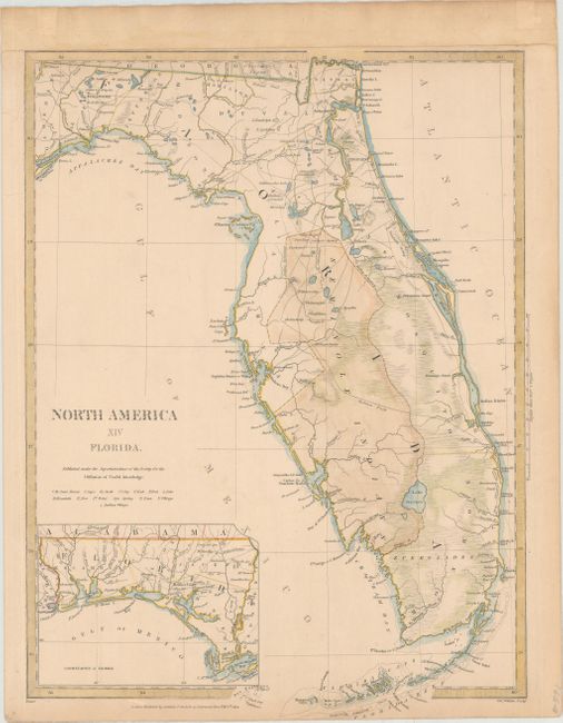 North America XIV Florida