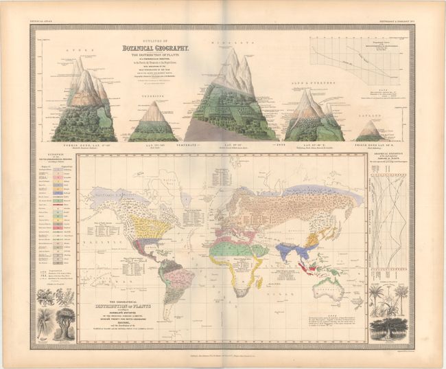 The Geographical Distribution of Plants According to Humboldt's Statistics of the Principal Families & Groups... [on sheet with] Outlines of Botanical Geography. The Distribution of Plants...