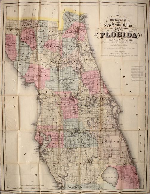 Colton's New Sectional Map of the Eastern Portion of Florida from the Surveys of the U.S. Land Office, the U.S. Coast Survey and Other Original Sources