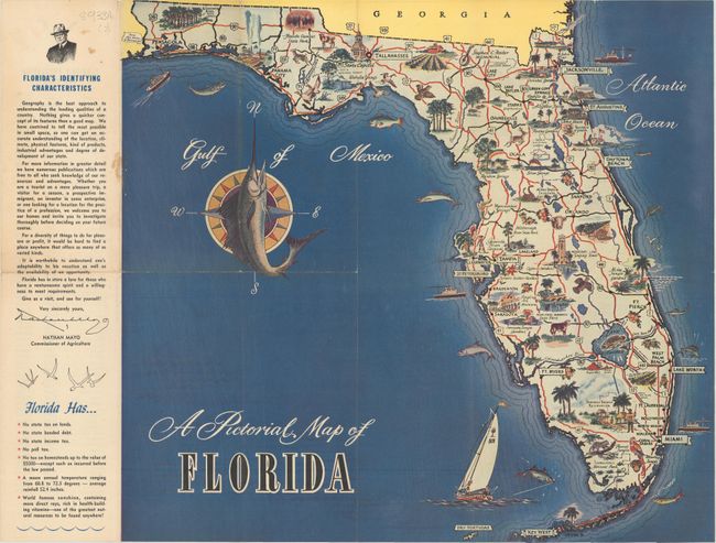 A Pictorial Map of Florida