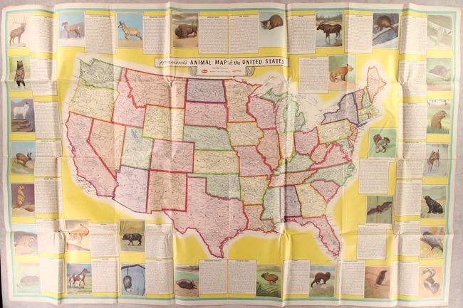 Hammond's Animal Map of the United States