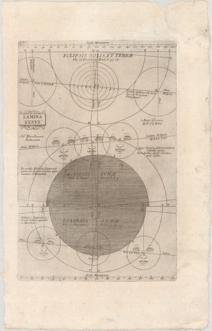 Lamina XXXVII