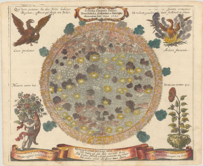 Schema Corporis Solaris Prout Romae a Scheinero et Kirchero Observatum Suit