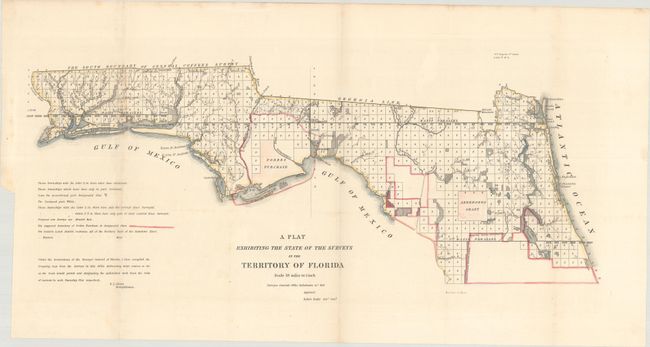 A Plat Exhibiting the State of the Surveys in the Territory of Florida