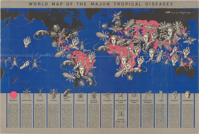 World Map of the Major Tropical Diseases