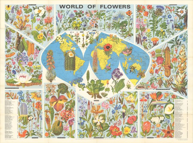 World of Flowers
