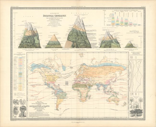 Outlines of Botanical Geography. The Distribution of Plants... [on sheet with] Map of Schouws Phyto-Geographic Regions with the Distribution of Plants...