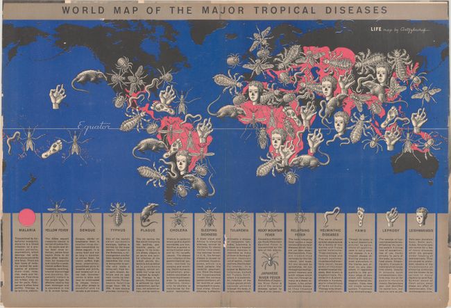 World Map of the Major Tropical Diseases