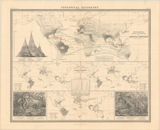 Geographical Division and Distribution of Reptilia (Reptiles) [on sheet with] Geographical Division and Distribution of Ophidia (Serpents) According to Schlegel