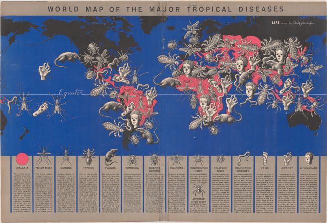 World Map of the Major Tropical Diseases