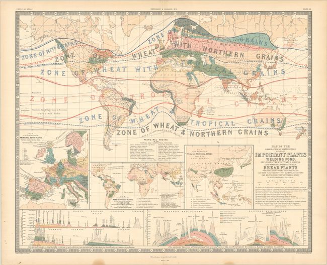 Map of the Geographical Distribution of the Most Important Plants Yielding Food, Including the Cultivated Grains and Other Cultivated and Wild Bread Plants