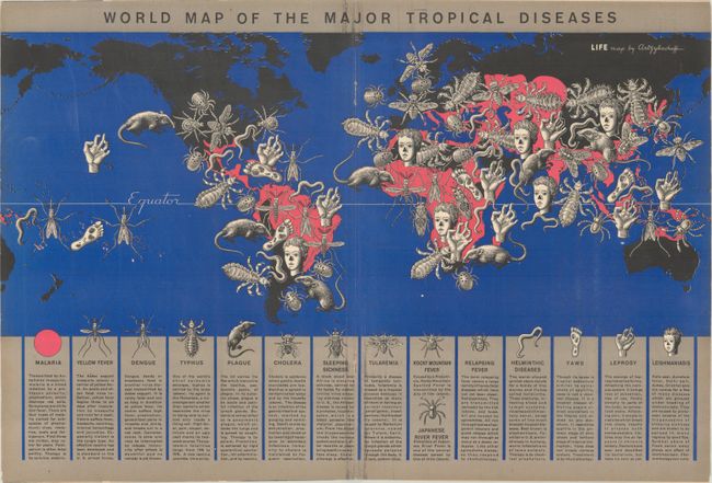 World Map of the Major Tropical Diseases