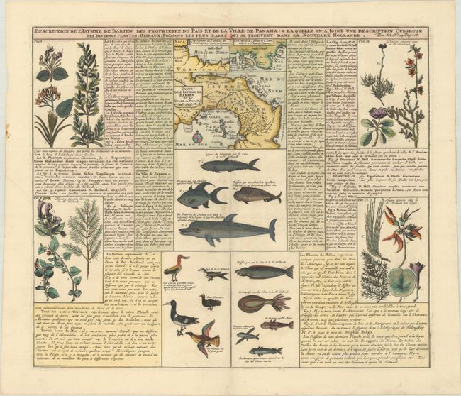 Description de l'Isthme de Darien des Proprietez du Pais et de la Ville de Panama; a la Quelle on a Joint une Description Curieuse des Diverses Plantes, Oiseaux, Poissons les Plus Rares qui se Trouvent dans la Nouvelle Hollande