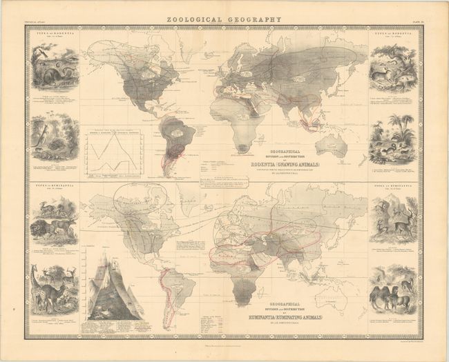 Geographical Division and Distribution of Rodentia (Gnawing Animals)... [on sheet with] Geographical Division and Distribution of Ruminantia (Ruminating Animals)