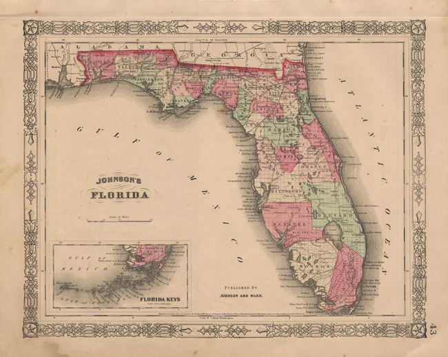 Johnson's Florida